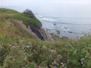 Cape des Rosiers coast