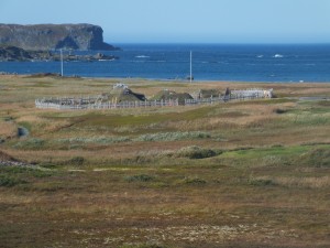 Coastline at L'Anse au Meadows