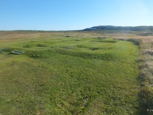 L'Anse au Meadows original Viking village