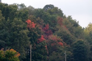 Start of Autumn Colour