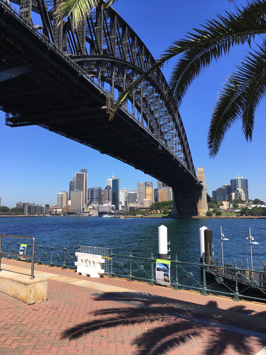 Bridge from Milsons Point IMG 7118